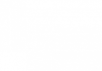 seta_haas
